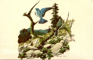 Birds Mountain Bluebird Painting By Richard Sloan