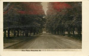 RPPC Postcard; Elm Place, Princeton IL Tree-Lined Street, Bureau County Unposted