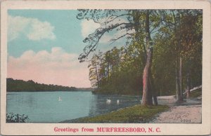 Postcard Greetings from Murfreesboro NC