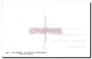 Old Postcard The Pyrenees the Betharram caves Stalactites alive