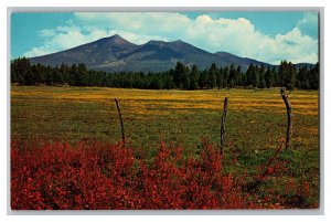 San Francisco Peaks Flagstaff Arizona Scenic View Postcard