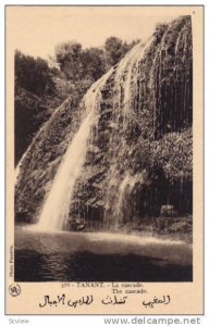 TANANT .- La Casade , Morocco, 20-30s