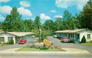 Florida White Springs Miami Motel 1950s autos Teich Postcard 22-6701