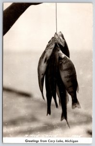 Greetings From Carp Lake Michigan MI A Nice Catch Fish RPPC Real Photo Postcard