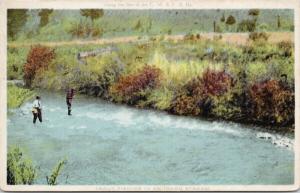 Trout Fishing Idaho Stream Along the Line of C.M. & F. S. Railway Postcard E44