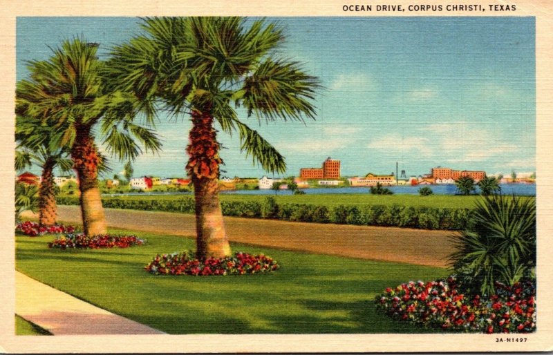 Texas Corpus Christi Ocean Drive 1949 Curteich