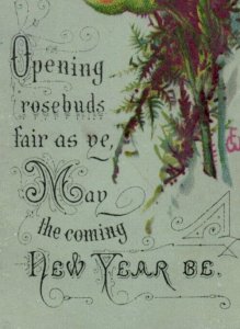 1880s Victorian New Year's Bookmark Poem On Back Lovely Rose F109