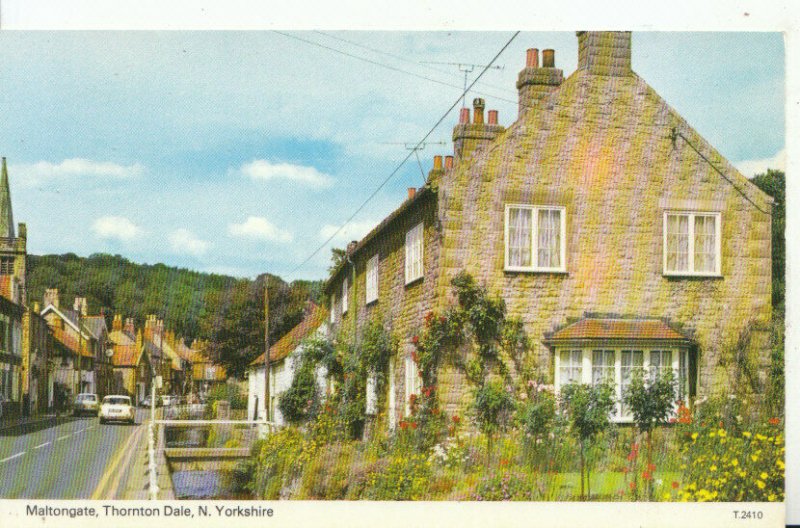 Yorkshire Postcard - Maltongate - Thornton Dale - Ref 13470A 