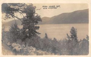 Fish lake Vermont Scenic Birdseye View Real Photo Antique Postcard K81808