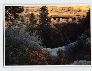 M-151536 Spruce Tree House at Sunset Mesa Verde National Park Colorado USA