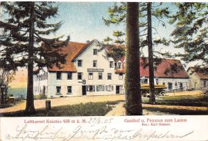 L410 Germany 1905 Luftkurort Kniebis Gasthof Pension zum Lamm basrelief postcard