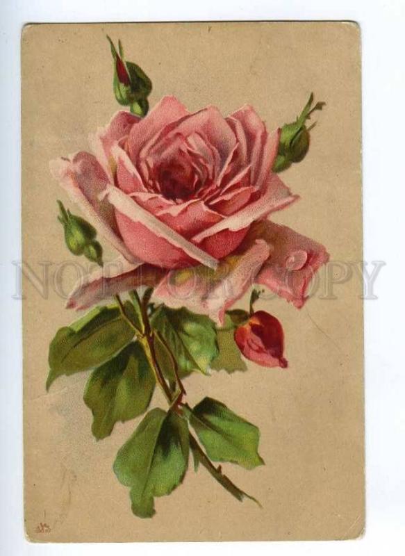 189422 Pink ROSES w/ Dew by C. KLEIN Vintage LITHO PC