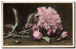 Old Postcard Fantasy Flowers