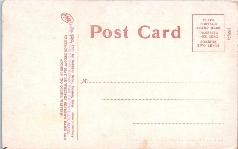 GREENFIELD, MA Massachusetts   STILLWATER & Suspension Bridge  c1907   Postcard