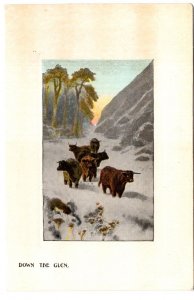 Down the Glen, Cows in Snow