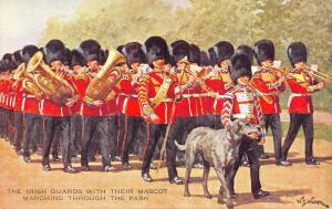 BR64700 dog the irish guards with dog ireland  army military militaria england