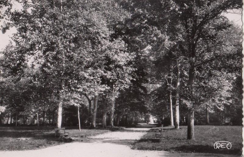 BF25978 aubigny sur nere cher les grands jardins allee  france  front/back image