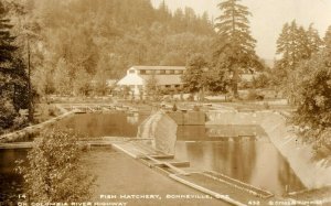 c. 1920 RPPC Fish Hatchery Bonneville, Oregon Postcard F91