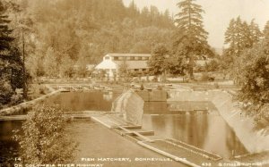 c. 1920 RPPC Fish Hatchery Bonneville, Oregon Postcard F91 