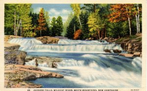 NH - Jackson. Jackson Falls, Wildcat River