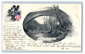 c1900s Aqueduct, Cabinjohn Bridge Washington DC Posted PMC Postcard 