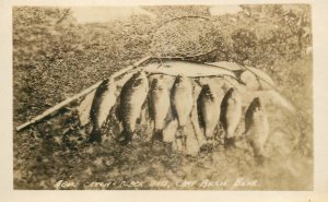 c1910 Ontario Canada Camp Billie Bear Fishing Catch RPPC Postcard 25-8872