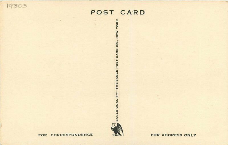 New York Central Valley Summit Lake Camp Eagle roadside Postcard 22-3850 