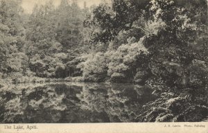 PC NEW ZEALAND, THE LAKE, APITI, Vintage Postcard (b43861)