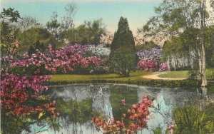 Postcard South Carolina Charleston Magnolia Gardens hand Al 23-8047