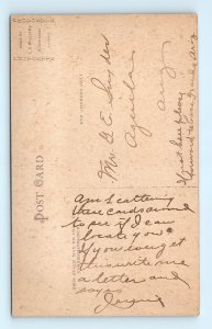 Streator IL Illinois Greely School Postcard