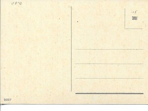 HorsE Head Modern German  photo postcard 1970s