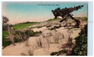 1937 The Dunes on Cape Cod Massachusetts MA Vintage Handcolored Postcard 