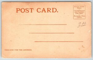 Native American  Sioux Chief  Pretty Eagle  Postcard