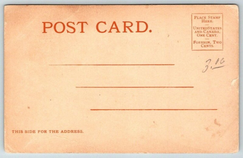 Native American  Sioux Chief  Pretty Eagle  Postcard