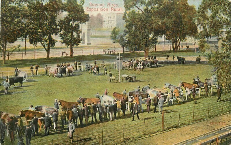 Argentina C-1910 Buenos Aires Exposicion Rural Postcard 21-6888