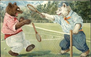 Bear Fantasy Playing Tennis Tuck Little Bears #118 c1910 Postcard