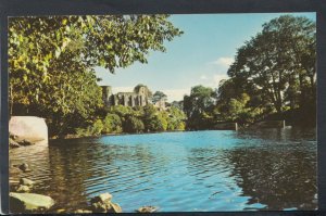 Co Durham Postcard - The Castle From Warrens Dam, Barnard Castle   RS19912