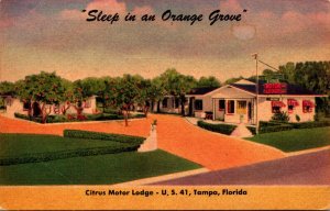 Florida Tampa Citrus Motor Lodge
