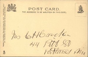 Massena Springs NY Sulphur Springs c1905 Postcard