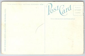 Des Moines Iowa~US Post Office On Corner~Vintage Postcard