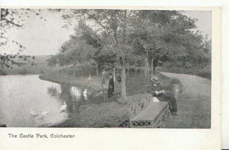 Essex Postcard - The Castle Park - Colchester - Ref TZ883