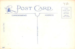 Fishing Balsam Lake, Wisconsin, USA Postcard