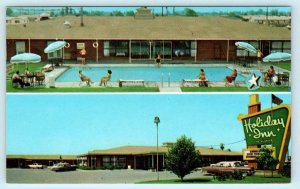 GREENVILLE, Mississippi MS ~ Swimming Pool HOLIDAY INN c1960s Roadside Postcard