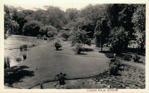 Indonesia Kebon Raja Bogor Java Vintage RPPC 07.54