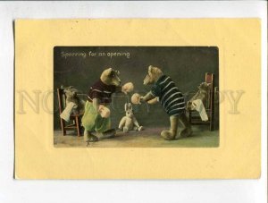 285797 Sport BOXING Dressed TEDDY BEAR Vintage postcard