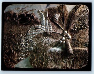 1980 The Amos Eno Gallery Miriam Brofsky Landscape Bronx New York NY Postcard