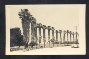 RPPC LA JOLLA CALIFORNIA ELLEN SCRIPPS PARK VINTAGE REAL PHOTO POSTCARD