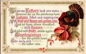 Turkey, Thanksgiving Poem John Winsch c1914 Vintage Postcard N74