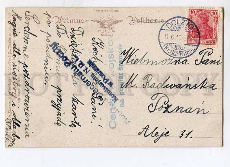 3027201 Smooth FOX TERRIER. By HANSTEIN. Vintage PC