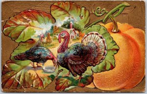 Turkeys Pumpkin Fruit Thanksgiving Greetings Wishes Card Postcard